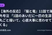 【海外の反応】『猫と竜』11話で海外号泣 「1話のあいだに一匹の生涯を丸ごと描いて、心底大事に思わせてくる」