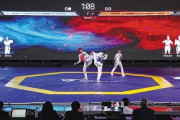 韓国人「韓国の伝統武道テコンドーが日本のゲーム『ストリートファイター』のルールを採用！」→「これマジで面白かった」　韓国の反応