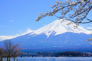 海外「もう他の国には住めない」 来日20年の英国人が気づいた日本の素晴らしさに共感の声が殺到