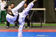 韓国人「テコンドーは日本武術なのですか？」→「日本の空手は中国武術の偽物ですよ？」　韓国の反応