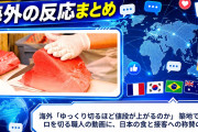 海外「ゆっくり切るほど値段が上がるのか」 築地でマグロを切る職人の動画に、日本の食と接客への称賛の声