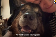メキシコからアメリカにやってきた16歳の保護犬が新しい家族に出会うまで…