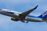 海外「できるだけ日本の航空会社に乗るようにしてる」日本旅行でお勧めの航空会社に対する海外の反応