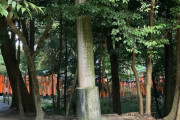 外国人「無知な観光客が神社にゴミを捨ててた、日本は最も清潔な国なのに…」