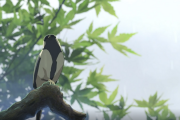 10年経ってもこの日本のアニメ映画を超えるものは存在しない-海外の反応