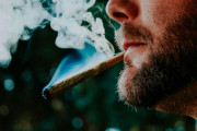 海外の反応：「日本は時代遅れ。大麻合法化を検討すべき」日本の大麻事件の検挙数が過去最大