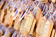 中国人観光客が日本の寺で行った蛮行（海外の反応）