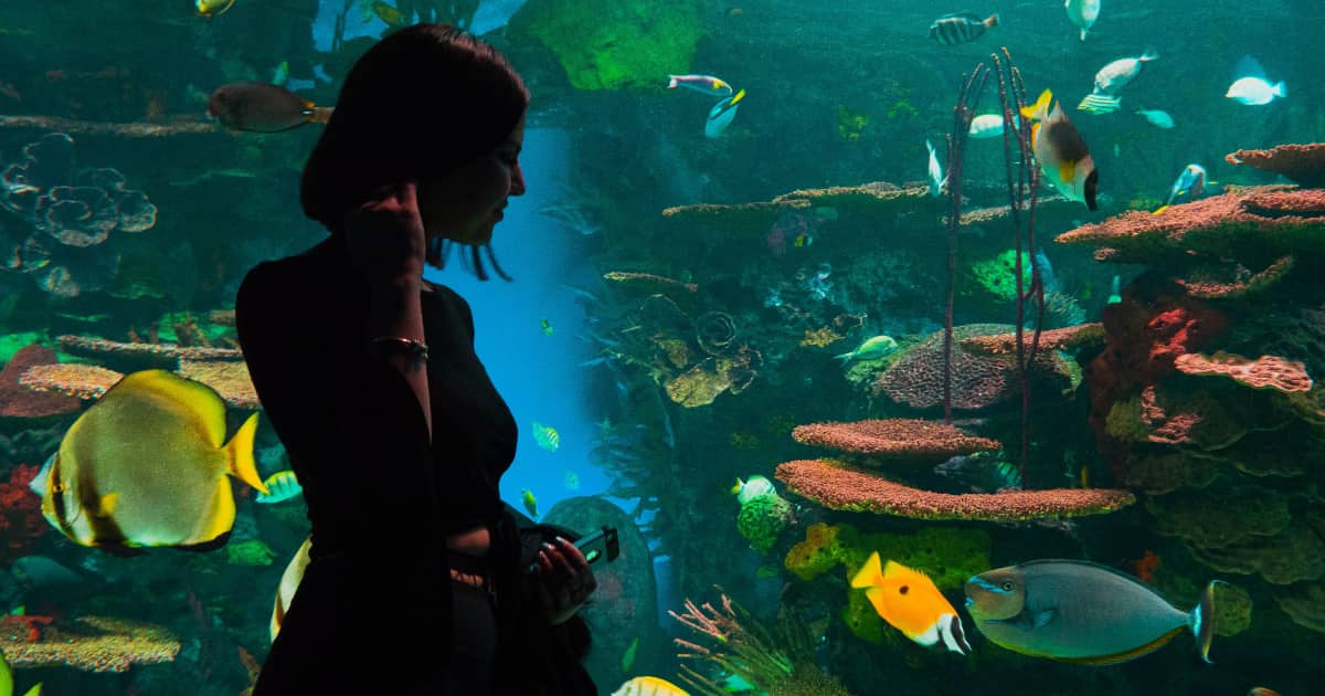 日本の名古屋港水族館の特別展が「サイコパスすれすれ」だと話題に！【台湾人の反応】 | 海外の反応アンテナ