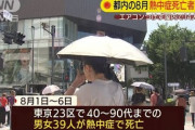 海外「母なる自然が人類淘汰を始めたな」日本、熱中症で死者５７人・・・　海外の反応　日本ヤバくね？