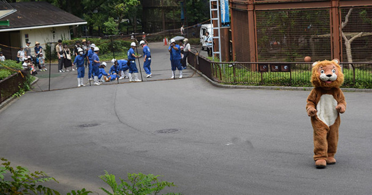 「笑いが止まらないよ」日本の動物園の着ぐるみ訓練が世界で拡散 | 海外の反応アンテナ