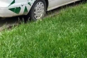【画像】ルーフに乗れるようにしたよ～