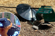 【海外】「鳥の餌箱を巡る騒動、思わず笑える結末とは？」