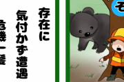 日本で聞いた“森の中で出会うなら男か熊か”　日本の女性はまだ論理的思考能力がある　【海外の反応】