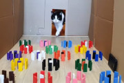 難易度3段階！色付きドミノを避けて歩くハチワレ猫くんの華麗なキャットウォークに注目