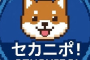 海外「日本を歩いてたら沢山の車が放置されて朽ち果てている…」←日本は〇〇が多いせい？？【海外の反応】