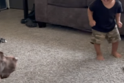 幼児「遊んでー！！」犬「鬼ごっこもどきでもしたるか・・・！」気を使って遊ぶ犬が賢い！