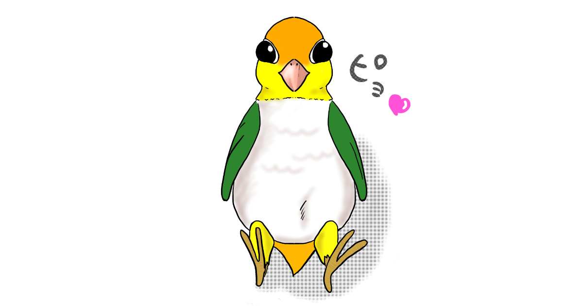日本のシロハラインコが「何してるん？」「可愛すぎる」と話題に！【台湾人の反応】 | 海外の反応アンテナ