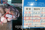 【悲報】韓国人さん発狂、放射能汚染と罵ってた日本の水産物を、飲食店で食べていたことが判明＝韓国の反応
