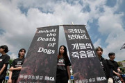（韓国）犬食反対集会の横で養犬業者が犬肉を食べて反撃（海外の反応）
