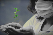 タイ人「政府が大麻草100万本を無料で配るらしいけど…」（タイの反応）