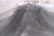 海外「日本の最新の真空パッケージング技術だとウニすら包装出来るようだ」