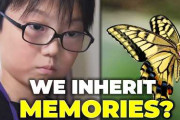 【海外の反応】日本の10歳が科学界を震撼！チョウの研究で定説を覆す快挙に世界が脱帽「本物の天才」「これこそ真の科学者だ」