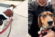 【海外】「暗いガレージで過ごした犬、初めての外出で見せた幸せすぎる笑顔！」