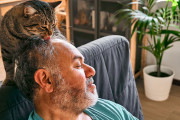 【海外】猫が私の髪を舐める理由とは？清潔感を気にしているの？あなたの疑問に答えます！