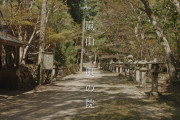 海外視聴者「いい場所！素敵な映像！」京都・嵐山の奥深くを滑らかに映した映像