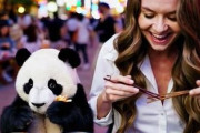 中国人「ソウルが東京よりも優れている点を教えて」　中国人「日本人よりも中国人に近い」「街中にゴミ箱が多い以外は・・」