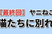 【最終回】『ヤニねこ』第12話、猫たちとの別れに海外しんみり