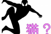 「うちの猫をスパイダーマンだと思うのはこんなとき…」重力を無視した写真