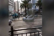 浸水した道路を流れていく大仏とそれを避ける車