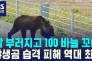 韓国人「世界クマサンの数ランキングで、日本が4位だった」→「上位国家の衝撃の現実（ﾌﾞﾙﾌﾞﾙ」