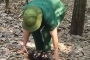 「これがベトナム戦争時にベトナム兵が隠れ潜んだ穴…」ゾッとするカモフラージュ技術