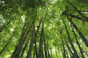 おんせん県の城下町！杵築市の散策「江戸時代の僧侶になった気分！」「こんな穴場があったのか…！」海外の反応