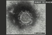 【衝撃】新型コロナウイルス、理想的に終息した場合でも死者数は1,500万人との研究結果が明らかに
