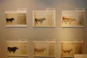韓国人「また韓国の嘘が判明！」日本和牛=朝鮮黒牛説は大嘘だった‥　韓国の反応