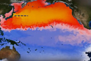 [韓国の反応]「福島原発汚染水が放流されれば一年以内に韓国の海域が汚染される」中国精華大[韓国ネット民]これは中国良くやったというべきだろうね。これでアメリカはじっといしていられなくなるだろうからね