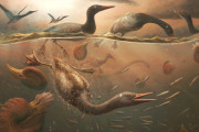 【海外】南極で発見された恐竜絶滅を生き延びた水鳥の祖先の頭蓋骨、まるでタイムカプセルだな！