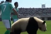 サッカーW杯1次リーグ、日本の対戦相手はスウェーデンに決定！　中国人「面白いグループになった」「今年の日本はかつてなく強い」