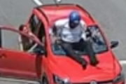 横断歩道を渡る犬のため車が停止！後続のバイクが追突してしまう