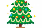 「自宅に『透明なクリスマスツリー』を飾ってみた…」猫に狙われそうなデザイン