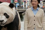 中国人「大阪でイケメンに声をかけられた。これってどういう意味？」　中国人「bilibili cuteと聞こえた」「逆にこちらから声をかけてもいいの？」