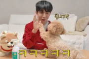 7年続く「見えてる詐欺」疑惑に涙、視覚障害YouTuberを巡る誹謗中傷に韓国で擁護の声