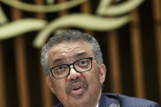 WHO「日本はクルーズ船の入港を許可せよ」＝韓国の反応