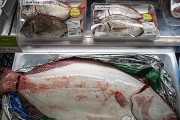 日本の先月の対中魚介類輸出75％減少…中国の輸入禁止の影響か＝韓国の反応