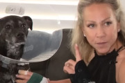 【海外】フロリダの女性、愛犬を守るためワニの口を無理やりこじ開ける！驚愕の救出劇とは？