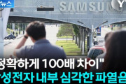 韓国人「『じゃあ、私たちは何なんだ』…サムスン電子、とんでもない後遺症を予告」