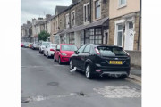 ツンツンツン！車を攻撃するカモメが目撃される